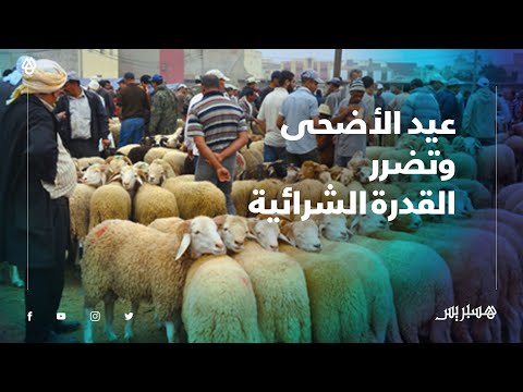 تضرر القدرة الشرائية بسبب الحجر الصحي يؤثر على نوايا الشراء في عيد الأضحى عند المغاربة