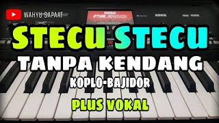 Download lagu STECU STECU || TANPA KENDANG KOPLO BAJIDOR || PLUS VOKAL mp3