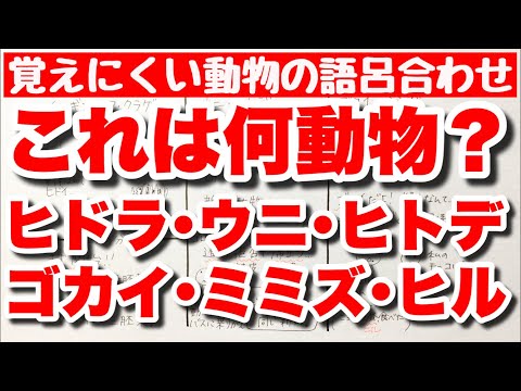 環形動物の種類 - 名前、例、特徴