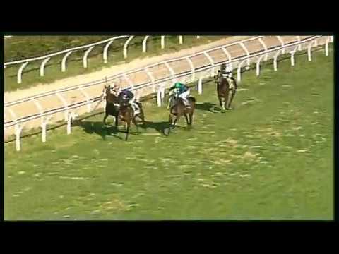 Galoppo 18/02/2020 - 1ª corsa