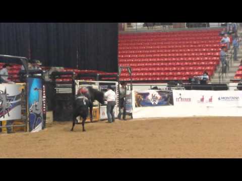Z59 VooDoo Spell • ABBI Fut Finals • 10-21-14