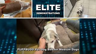 Review Dog Beds for Large Dogs, Washable Pet Bed Mattress Comfortable and Warming Rectangle