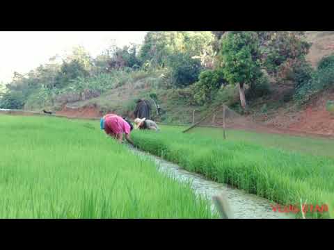 Agsikka tau apu😊(comment for part 2)🤗