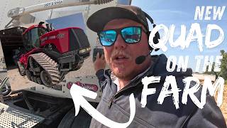 NEW TRACTOR ON THE FARM - If it's Red keep it in the shed? PLUS a SCIENTIFIC dirt pile experiment.