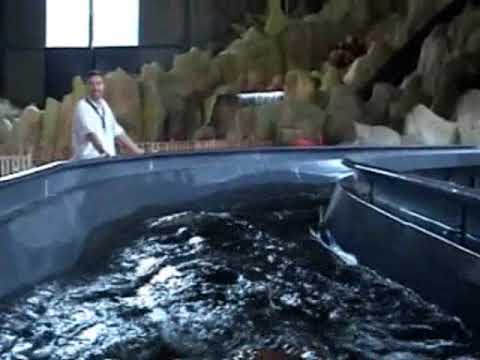 Crazy Turntable Log Flume Backstroke 2008 POV at Toverland