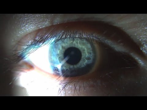 Stahl Inc. - Trituradora (Video No Oficial)