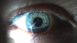 Trituradora Music Video