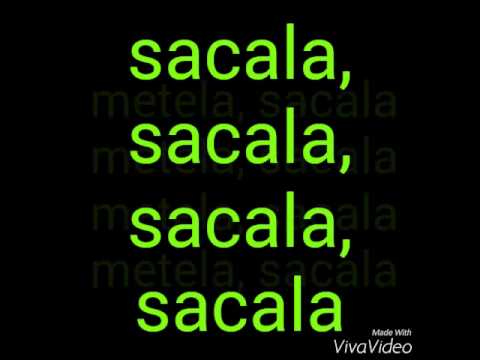 El Chevo Metela Sacala Lyrics Video