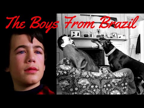 The Boys from Brazil, Gregory Peck on dog attack scene.