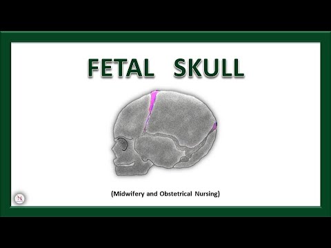 FETAL SKULL | Bones | Sutures | Diameters | Fontanels | Anatomy | OBG Lecture | The Nurses Station