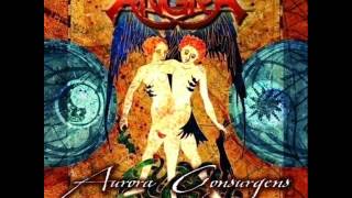 Angra - Ego Painted Grey - New Version 2012