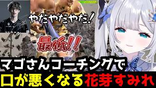 【スト6】「最低！!」マゴさんのコーチングで思わず口が悪くなってしまう花芽すみれ(解説付き)【花芽すみれ/マゴ/ぶいすぽ切り抜き】