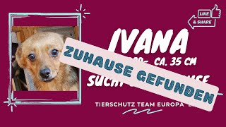 IVANA 35cm kleine zuckersüße Hündin, geb. 2020