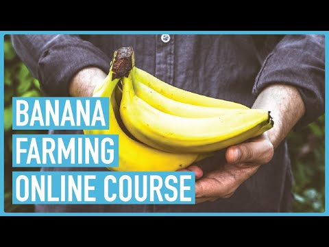 Profitable Pig Farming and Best Practices for success Course Outline