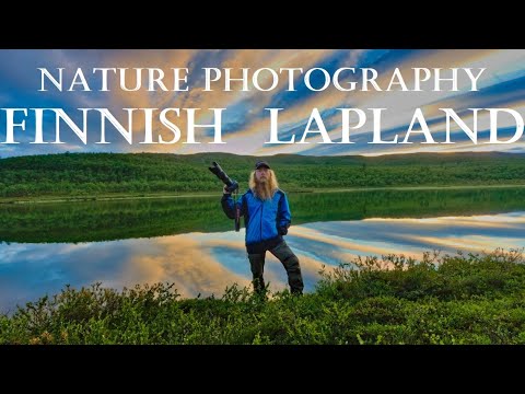 Nature photography in the arctic wilderness of Finland - Vaellushavaintoja Muotkatunturin erämaassa