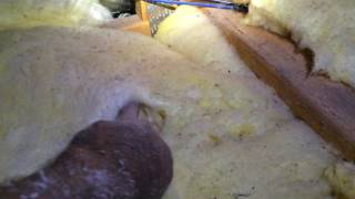 Cellulose insulation review, Fibre glass batts review, down lights.mov