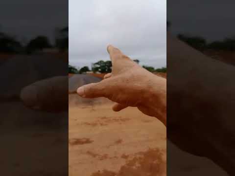 Colina Park dos ipês Ouro Preto do oeste Rondônia loteamento! #shorts