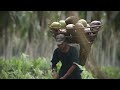 KARA Indonesia Produk Olahan Kelapa Pilihan