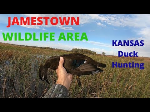 Jamestown Wildlife Area First Biggs of the Year Kansas Duck Hunting