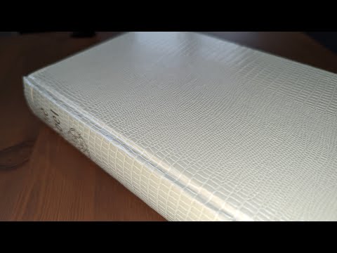 Bibel - Luther 1984 mit farbigen Illustrationen - mit Bildern aus dem Heiligen Land (Nr.1584)