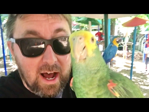 TDW 1768 - Welcome To Paradise