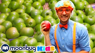 BLIPPI Visits an Apple Fruit Factory | Kids Fun &amp; Educational Cartoons | Moonbug Play and Learn