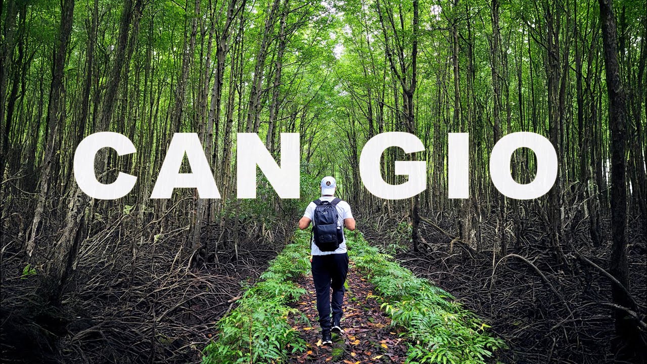 Discover a fascinating peek of Can Gio Mangrove Biosphere Reserve.