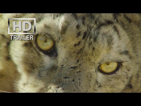 Born in China | official trailer US 82015) Disneynature