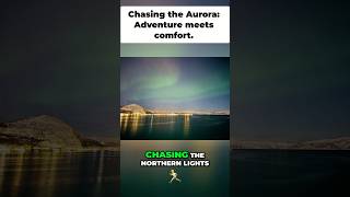 Chasing Northern Lights  Viking Cruises Arctic Adventure