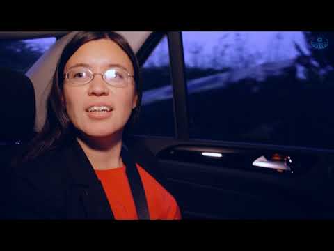 E-Smog, die Gefahr im Auto