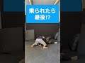 これが人をダメにする100kg超えのヨギボー #shorts #ヨギボー #格闘技