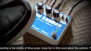 Video thumbnail for Young Pedals: The Looker (short demo) by Brett Kingman