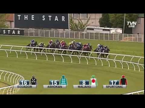 2013 The Star Epsom Handicap