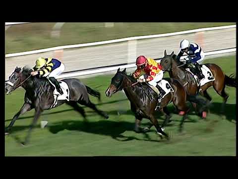 Galoppo 24/12/2020 - 2ª corsa