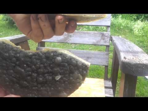 Smälta eget vax på enkelt sätt 4