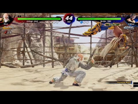Shun Di vs El Blaze - Virtua Fighter 5 Ultimate Showdown