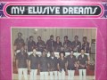 Ray Sylvester Orchestra - My Elusive Dreams