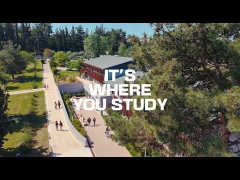 Anatolia American University