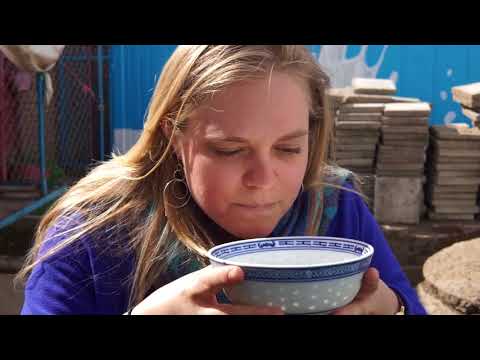 Fermented Mare's Milk - Darkhan Day Two