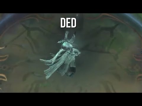 What 4 Days Of No karthus Looks Like