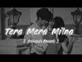 Tera Mera Milna - ✨☺️|| SLOWED+REVERB || - LOFI MUSIC 🎶