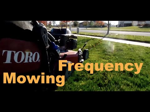 YouTube video about: What time can I start mowing my lawn?