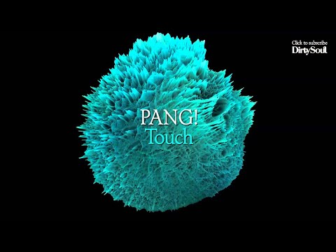 PANG! - Touch (Original Mix) [Dirty Soul Music]