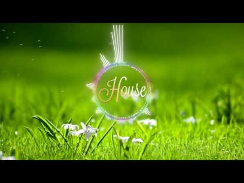 feel the rhythm (reality check 1-niklas)