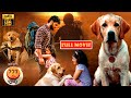 Rakshit Shetty Blockbuster Adventure Emotional Movie 777 Charlie JordaarMovies ​