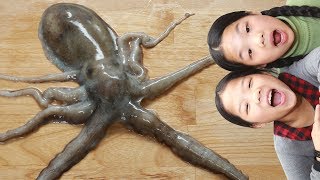 Mukbang Octopus  Pollicipes mitella TwinRoozi Family