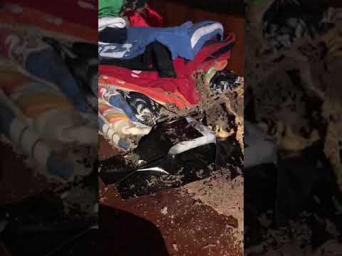 Video thumb
