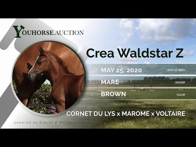 Crea Waldstar Z