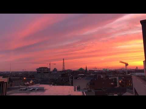 Love in Lockdown - Episode 1 - The Single Man