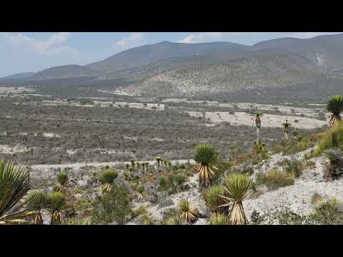 Santa Fe Klan, Ronda Bogotá Ft. Tornillo, Pato Machete - La Misma Sangre - Rebajada